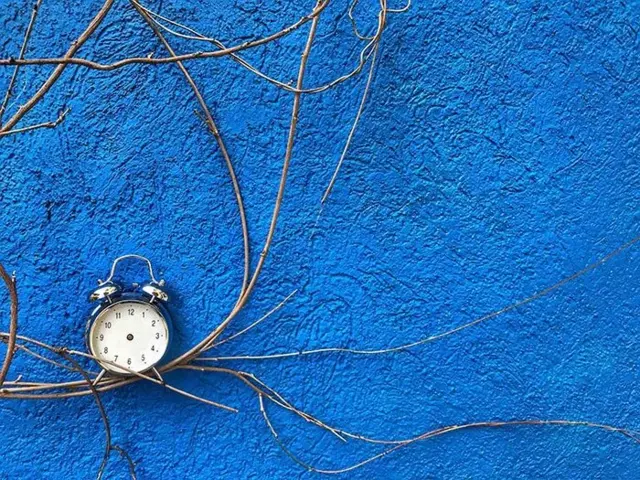 عکس از محمد صادقی