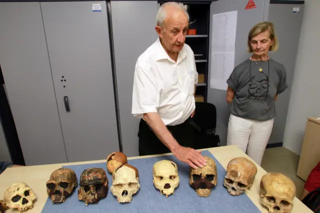 ภาพกะโหลกของมนุษย์โบราณ Homo heidelbergensis ซึ่งคาดว่าจะมีความสามารถในการใช้ภาษาง่ายๆ ได้เช่นเดียวกับ Homo erectus