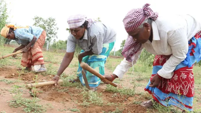 முருகன்