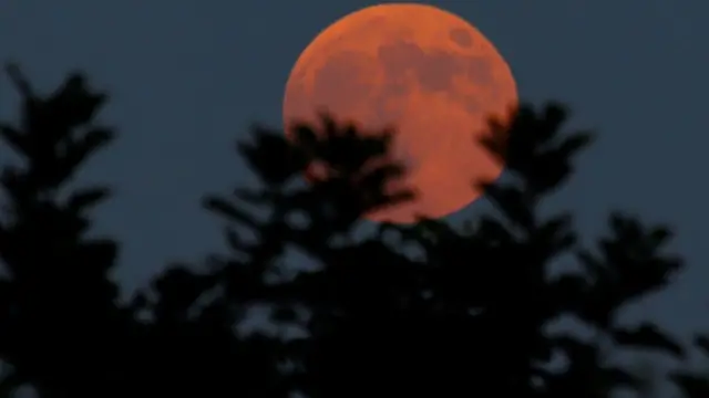 Кривавий Місяць