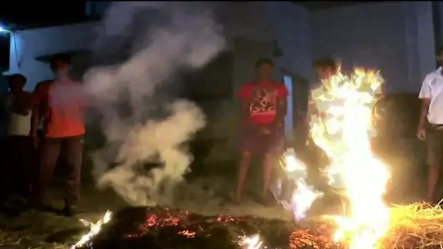 జంతువులు