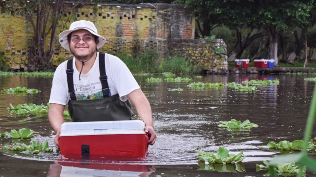Fish being transported for reintroduction