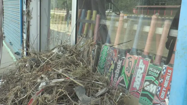 बैट की दुकान