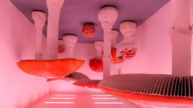 pečurke, soba sa pečurkama