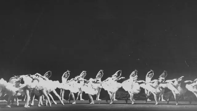 Лебедине озеро