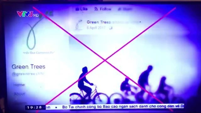 Ảnh chụp màn hình lại một video thành viên Greentrees quay lại phóng sự của VTV hôm 3/11