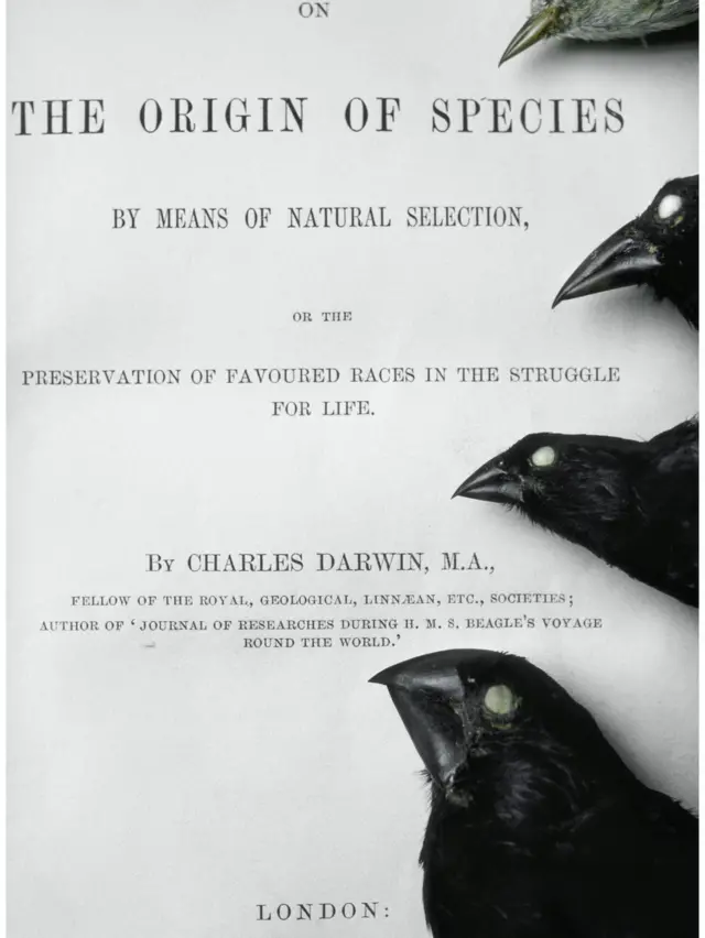 Reprodução da obra A Origem das Espécies,como funciona a roleta betanoCharles Darwin