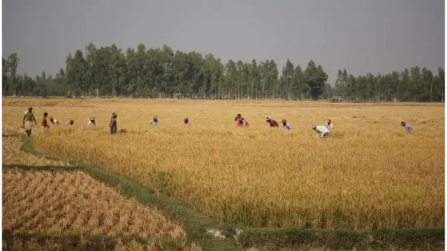 দিনাজপুর ৬ আসন