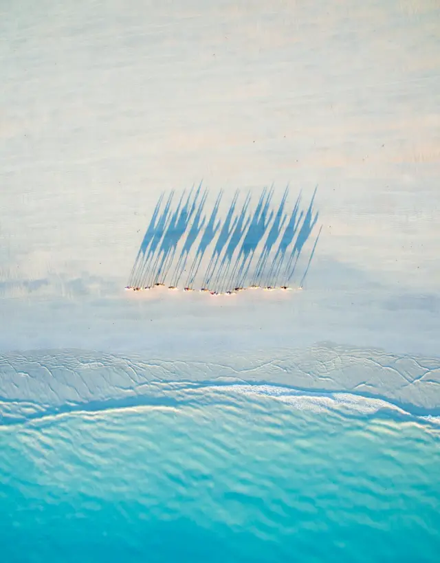 A line of camels walk through the desert