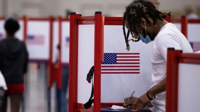 Votante en EE.UU.