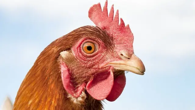 सांकेतिक तस्वीर