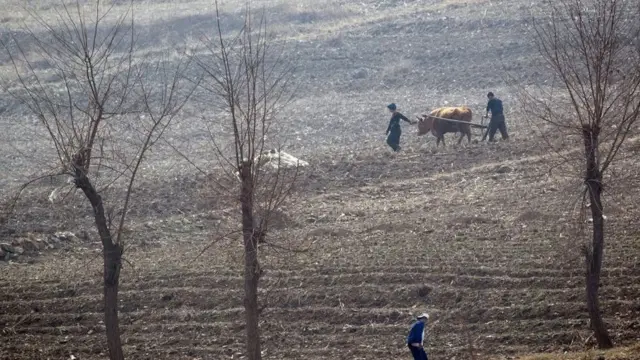 زمین کشاورزی