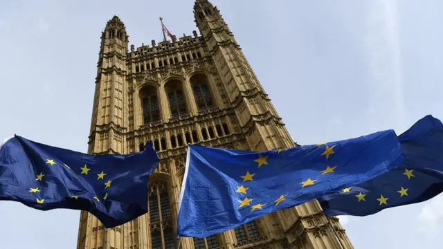 Houses of Parliament with EU flags