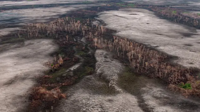 Área indígena afetada por queimadas e destruição