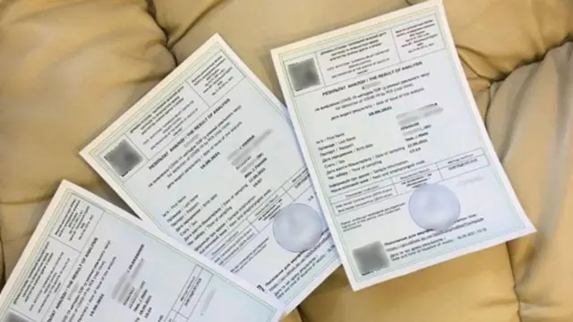 Такі підробні ПЛР-тести для перетину кордону вилучила поліція в однієї турагенції у Запоріжжі
