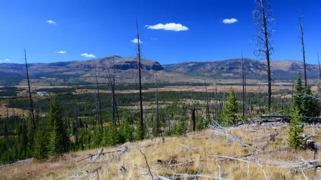 Parque Nacional de Yellowstone, en Wyoming. (Foto: cortesía familia Means)
