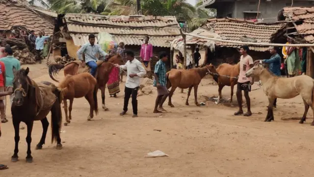 దాయర్తి