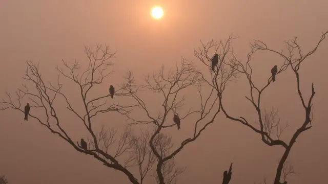 दिल्ली, प्रदूषण, वायू प्रदूषण