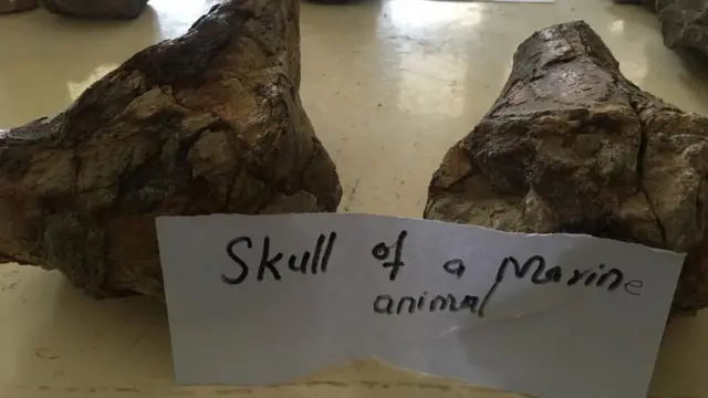 درازندہ، ڈیرہ اسماعیل خان، فوسل، جغرافیہ