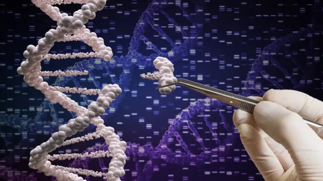 डीएनए सैम्पल जांच