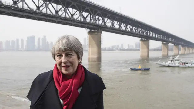 梅在武汉长江大桥留影