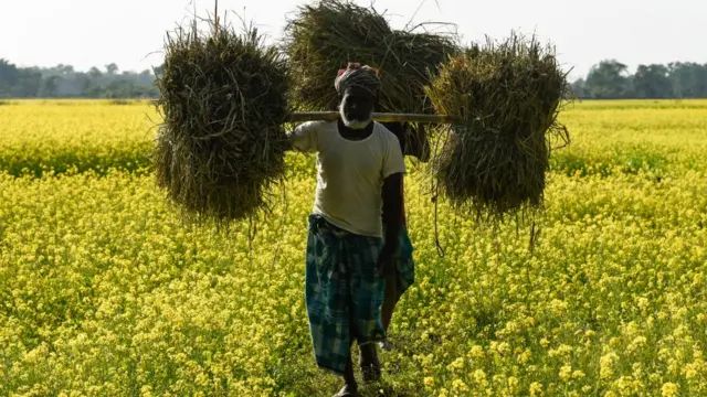 விவசாயி