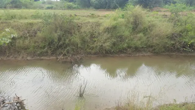 ఆత్మకూరు (ఎస్ )మండల పరిధిలో ఎస్సారెస్పీ కాలువ