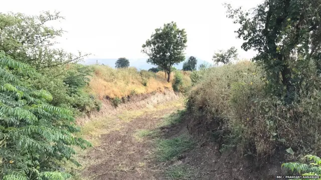 जलयुक्त शिवार अंतर्गत करण्यात आलेली खोलीकरणाची कामं.