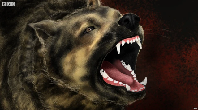 ਆਦਮਖੋਰ ਕੁੱਤੇ