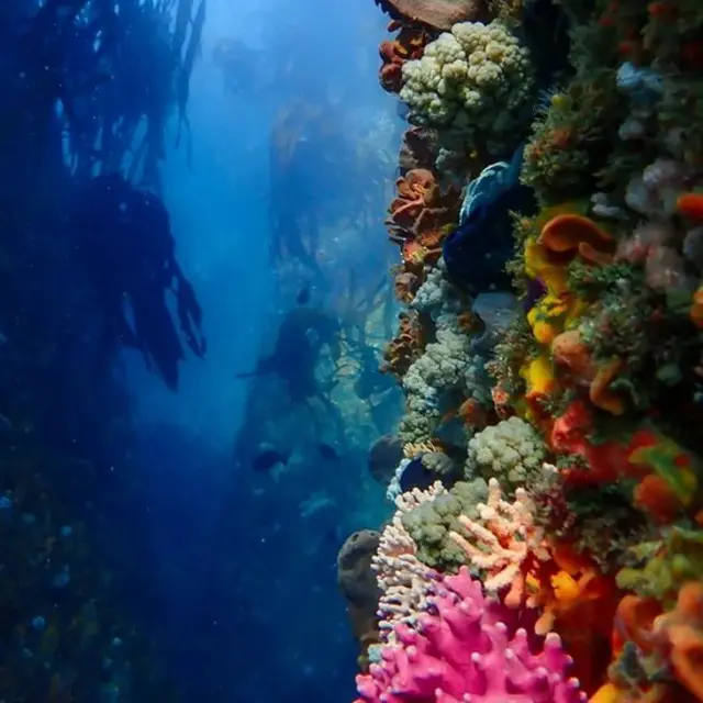 زیرِ آب مراقبہ