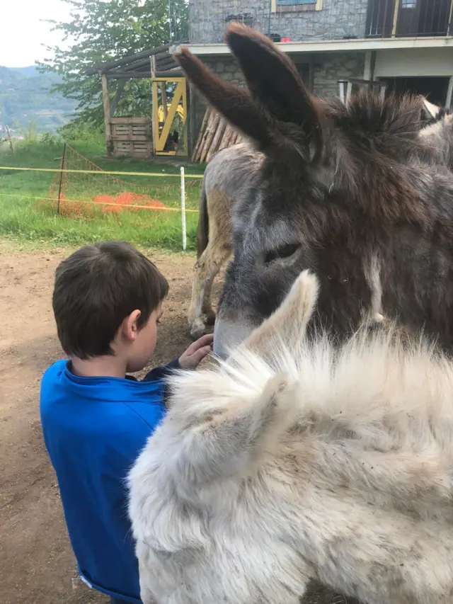 Євгенія Гоголь