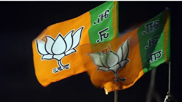 ભાજપનો ઝંડો