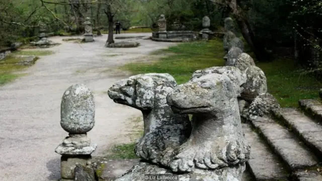 सार्को बोस्को यानी पवित्र जंगल