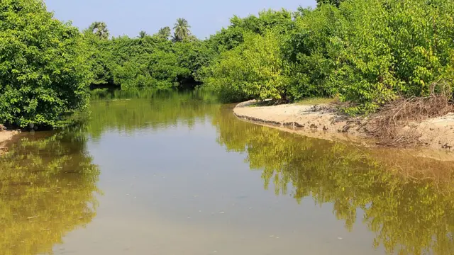 கோப்புப்படம்