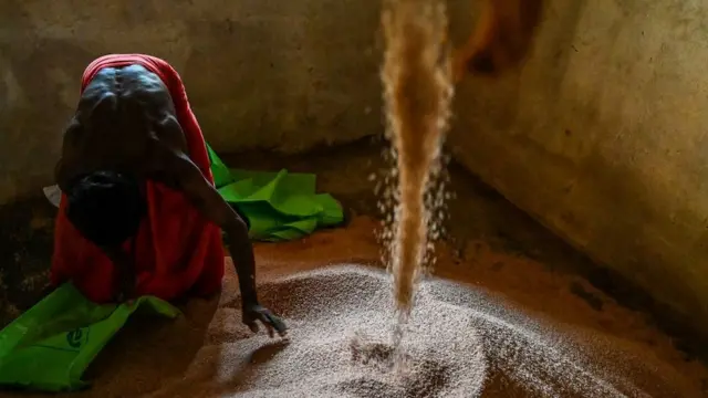 Produtores de arroz no Sri Lanka