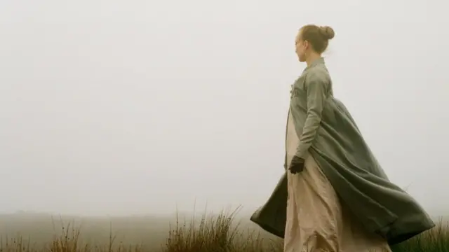 我們從艾米莉的詩歌和散文中發現，大自然給她帶來了極大的情感愉悅。