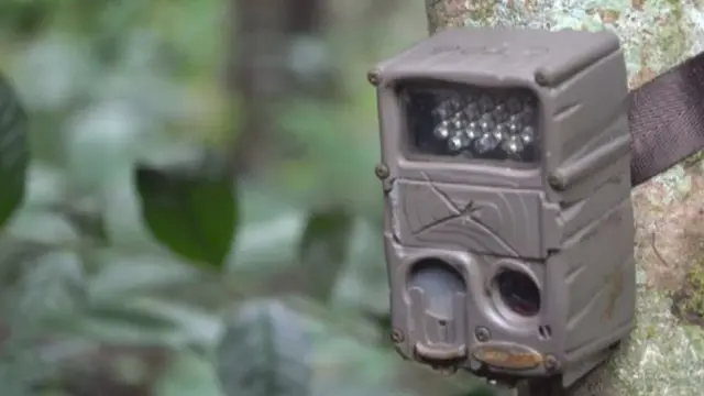 Kaamerooyinkan waxay la socdaan dhaqdhaqaaqa, waxayna sawireen doofaarrada Java