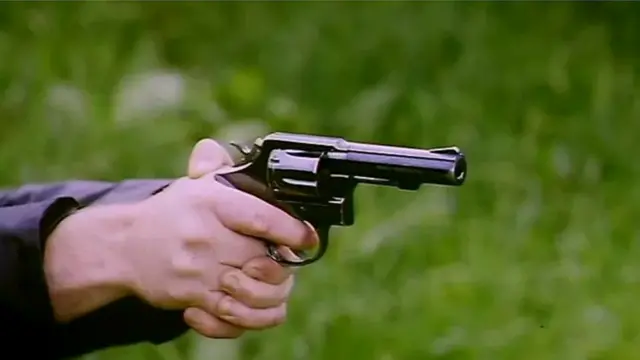 ਗੋਲੀਬਾਰੀ