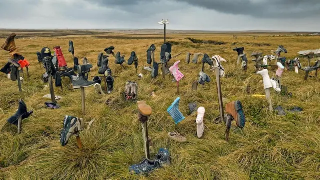 (图片来源:Hurtigruten)