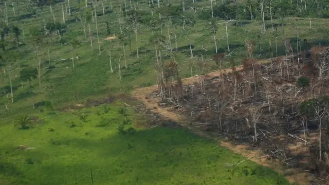 floresta amazônica