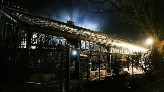 Des dizaines de primates sont morts après la chute accidentelle d'une torche dans un zoo de Krefeld, en Allemagne, au début de l'année 2020.