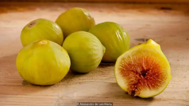 बरगद का फल