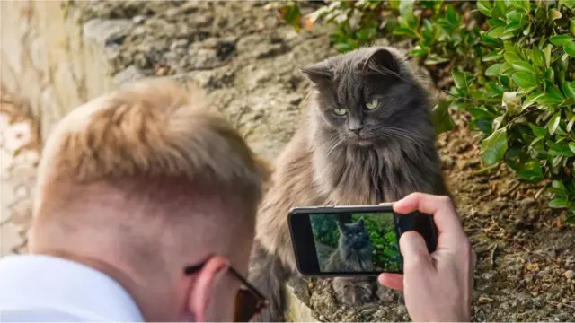 Toutes les données que nous accumulons chaque jour ne méritent pas d'être conservées à jamais.