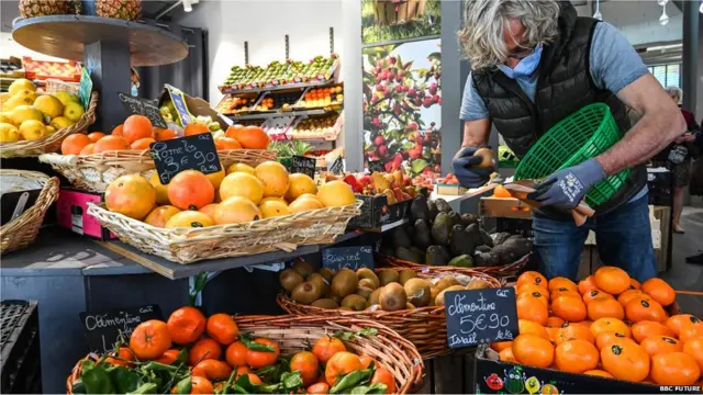 रोग प्रतिरोधक क्षमता