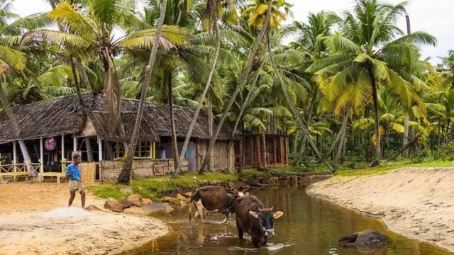शेतकरी मोर्चा, दिल्ली