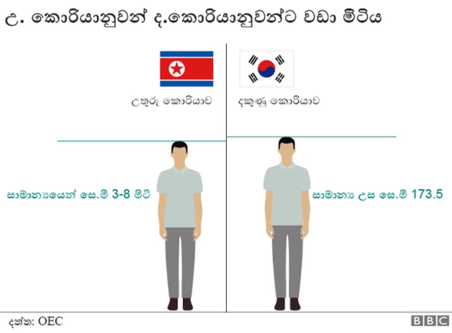සාමාන්ය උස