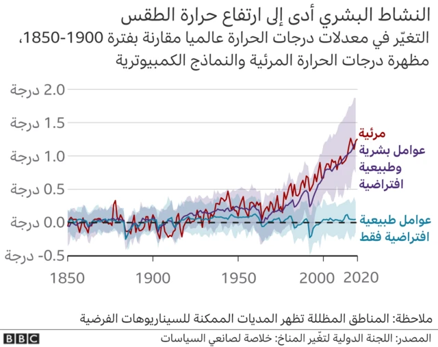 النشاط البشري