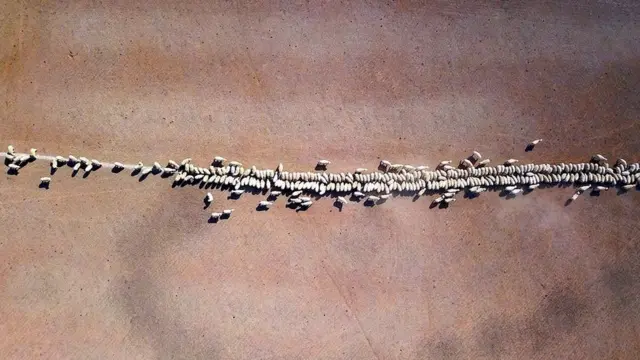 ఆస్ట్రేలియాలో కరువు