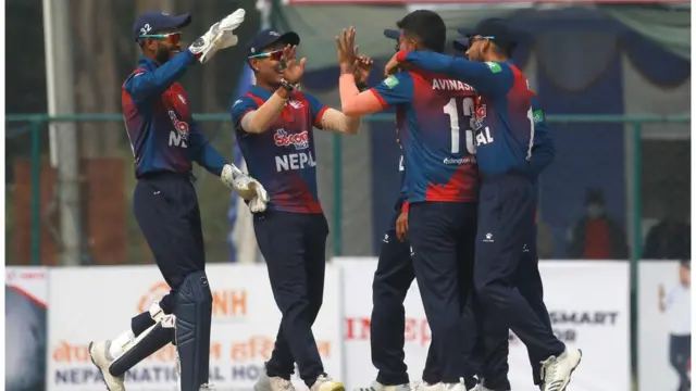 क्रिकेट