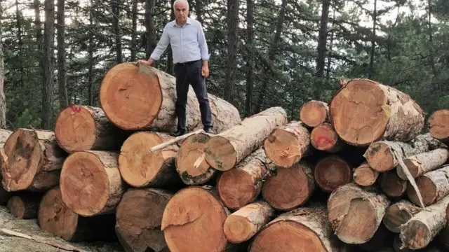 AKP Ankara Milletvekili Ceylan, bölgeye giderek kesilen ağaçlarla fotoğraf çektirdi